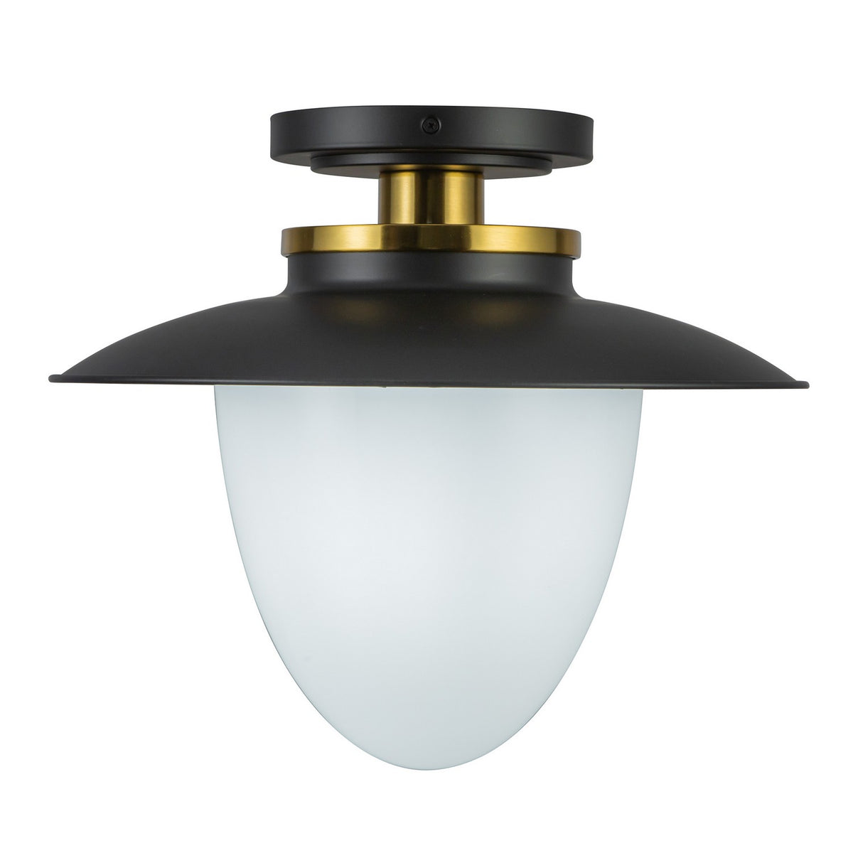 Artcraft - AC11905BB - One Light Pendant - Dahlia - Black