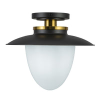 Artcraft - AC11905BB - One Light Pendant - Dahlia - Black