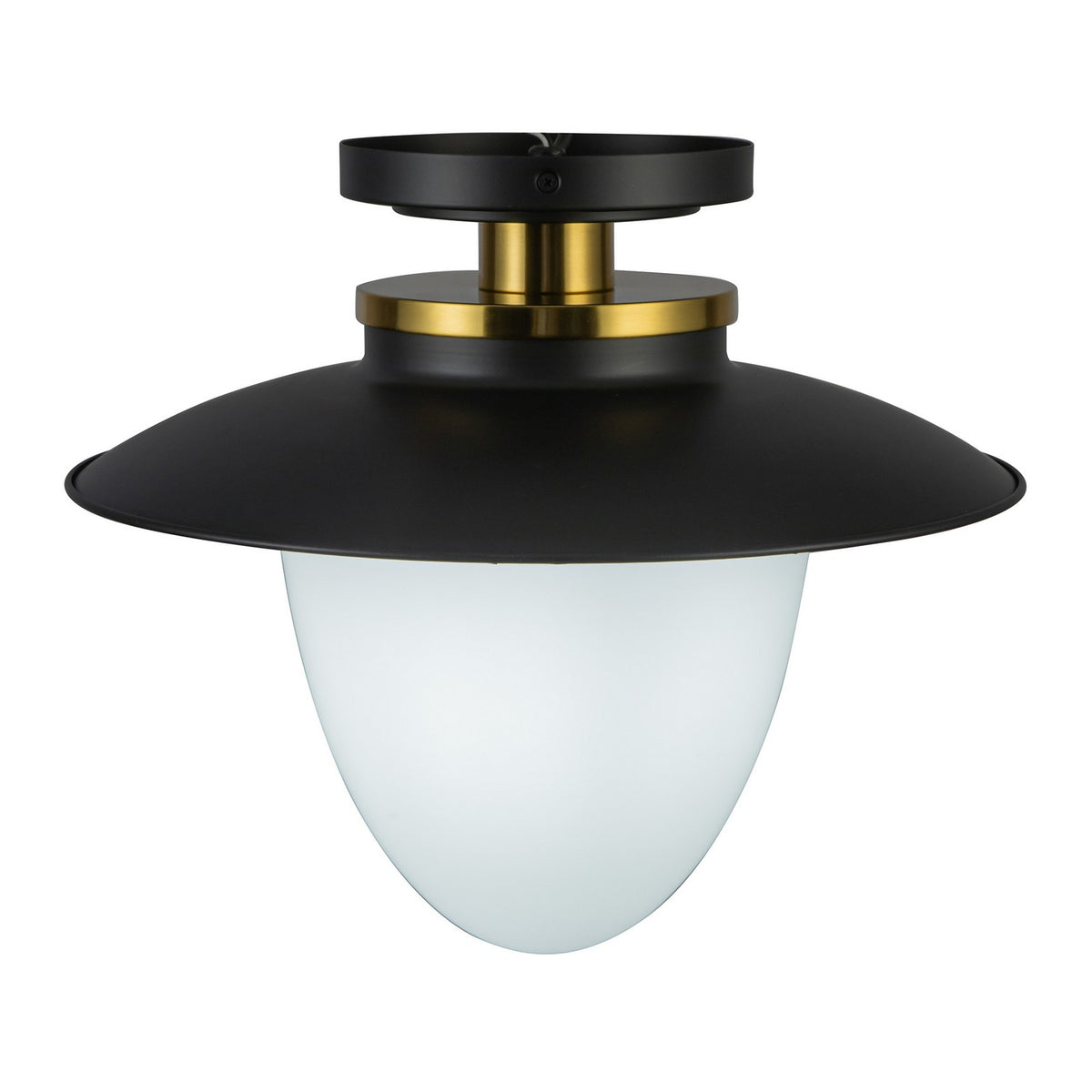 Artcraft - AC11905BB - One Light Pendant - Dahlia - Black
