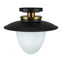 Artcraft - AC11905BB - One Light Pendant - Dahlia - Black