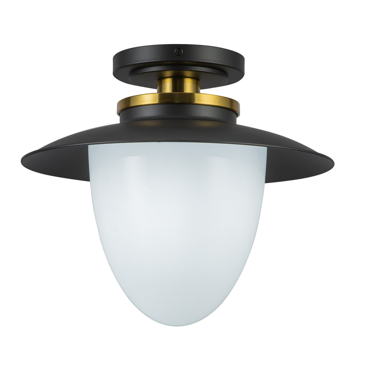Artcraft - AC11905BB - One Light Pendant - Dahlia - Black