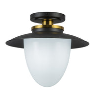 Artcraft - AC11905BB - One Light Pendant - Dahlia - Black