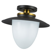Artcraft - AC11905BB - One Light Pendant - Dahlia - Black