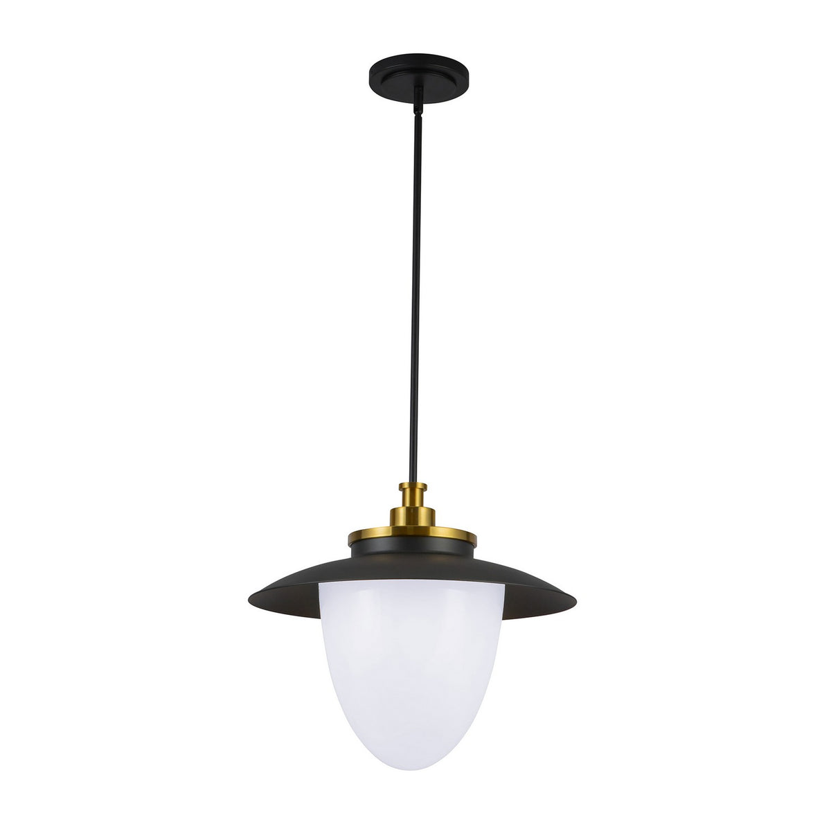 Artcraft - AC11906BB - Three Light Pendant - Dahlia - Brushed Brass