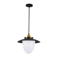 Artcraft - AC11906BB - Three Light Pendant - Dahlia - Brushed Brass