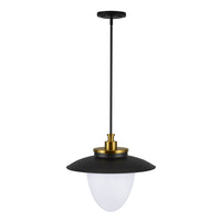 Artcraft - AC11906BB - Three Light Pendant - Dahlia - Brushed Brass