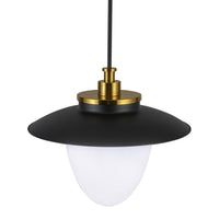 Artcraft - AC11906BB - Three Light Pendant - Dahlia - Brushed Brass