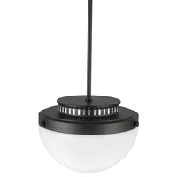 Artcraft - AC12010BK - One Light Pendant - Dahlia - Black