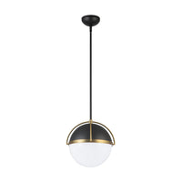 Artcraft - AC12040BB - One Light Pendant - Dahlia - Black, Brushed Brass