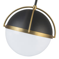 Artcraft - AC12040BB - One Light Pendant - Dahlia - Black, Brushed Brass