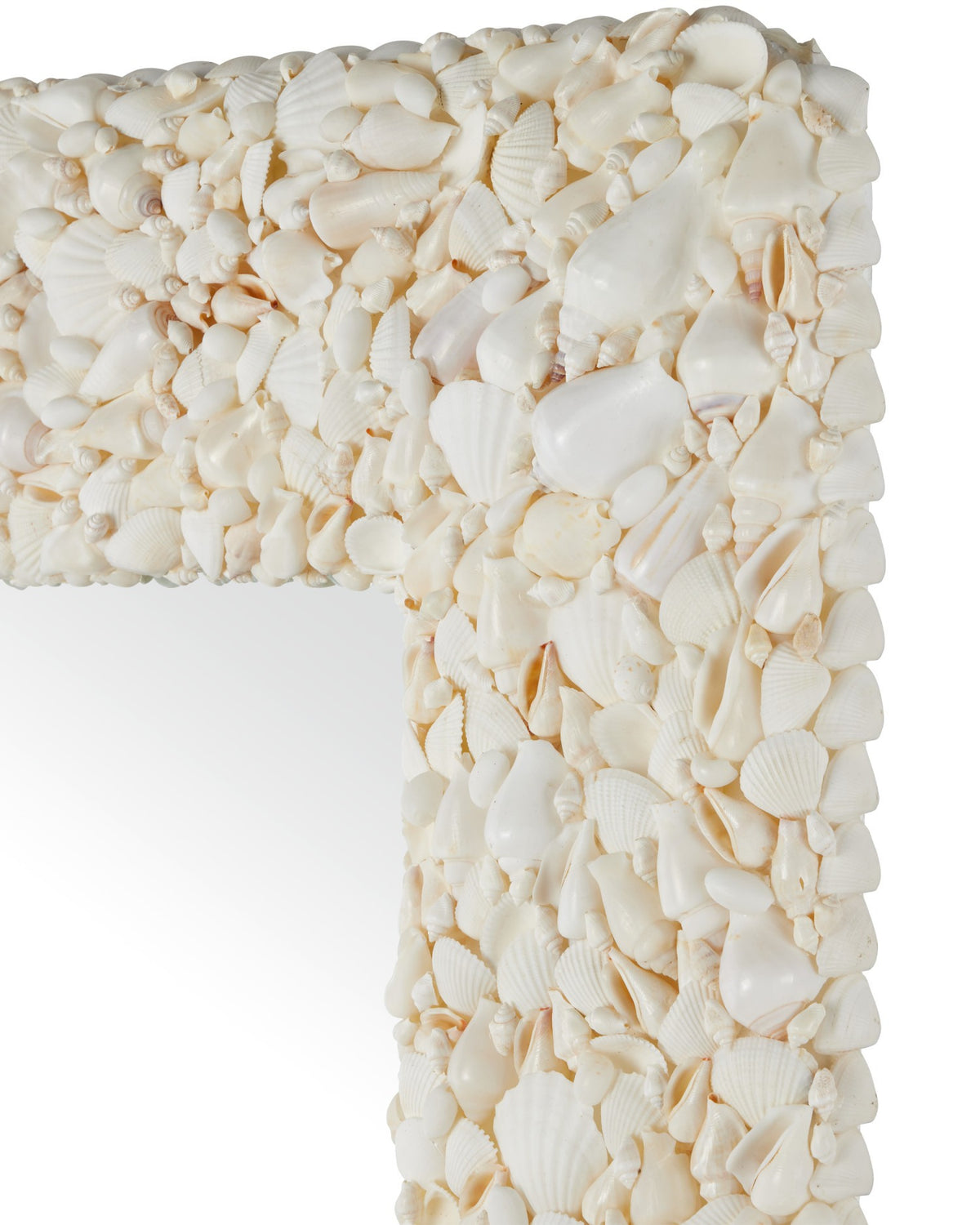 Currey and Company - 1000-0168 - Mirror - Turbinella - Natural