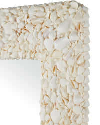 Currey and Company - 1000-0168 - Mirror - Turbinella - Natural