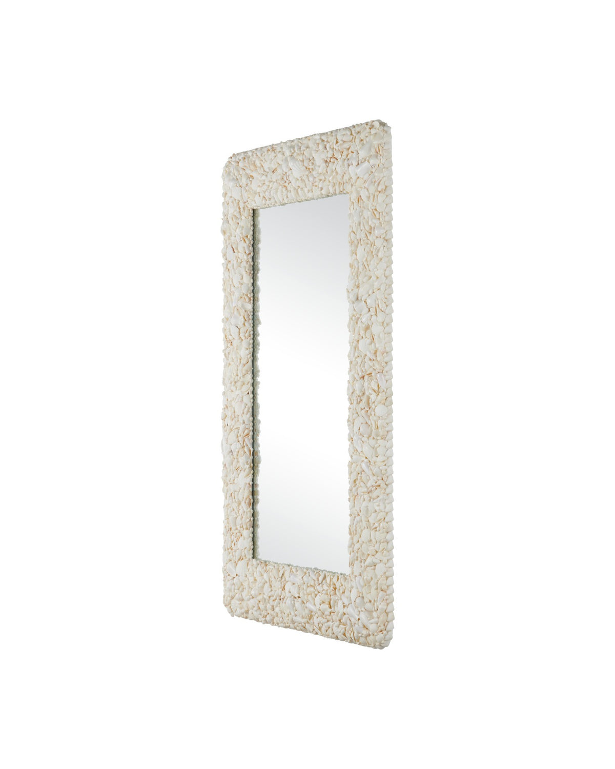 Currey and Company - 1000-0168 - Mirror - Turbinella - Natural