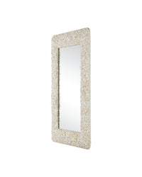 Currey and Company - 1000-0168 - Mirror - Turbinella - Natural
