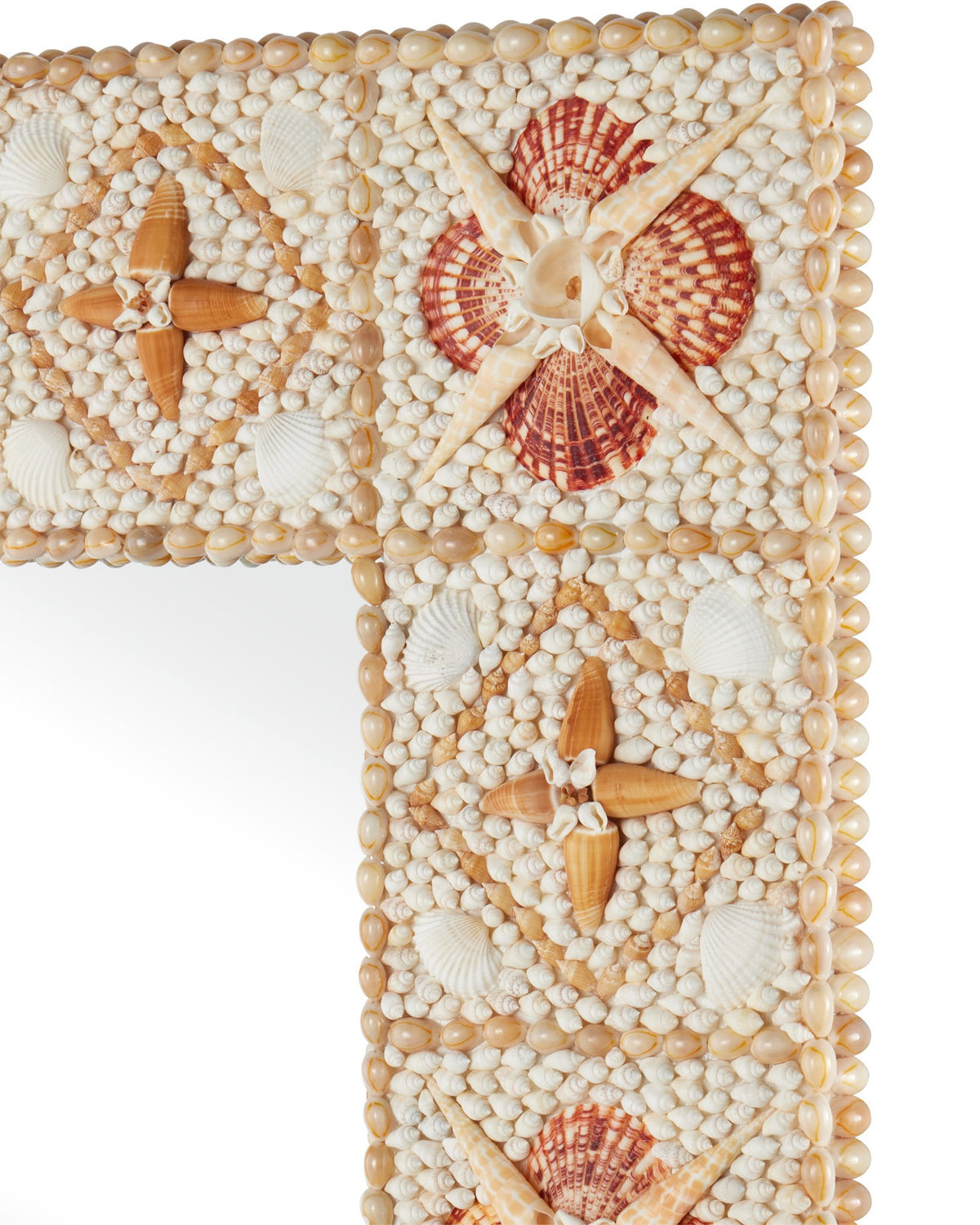 Currey and Company - 1000-0169 - Mirror - Junonia Rectangular Mirror - Natural