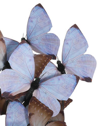 Currey and Company - 1200-0976 - Sculpture - Rue de Bac Butterflies - Lilac/Brown/Black/Clear