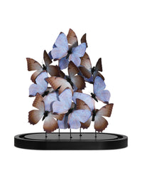 Currey and Company - 1200-0977 - Sculpture - Rue de Bac - Lilac / Brown / Black / Clear