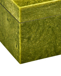 Currey and Company - 1200-1024 - Box - Rina - Green