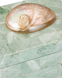 Currey and Company - 1200-1025 - Box - Fiona Box - Natural