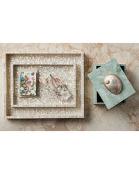 Currey and Company - 1200-1025 - Box - Fiona Box - Natural