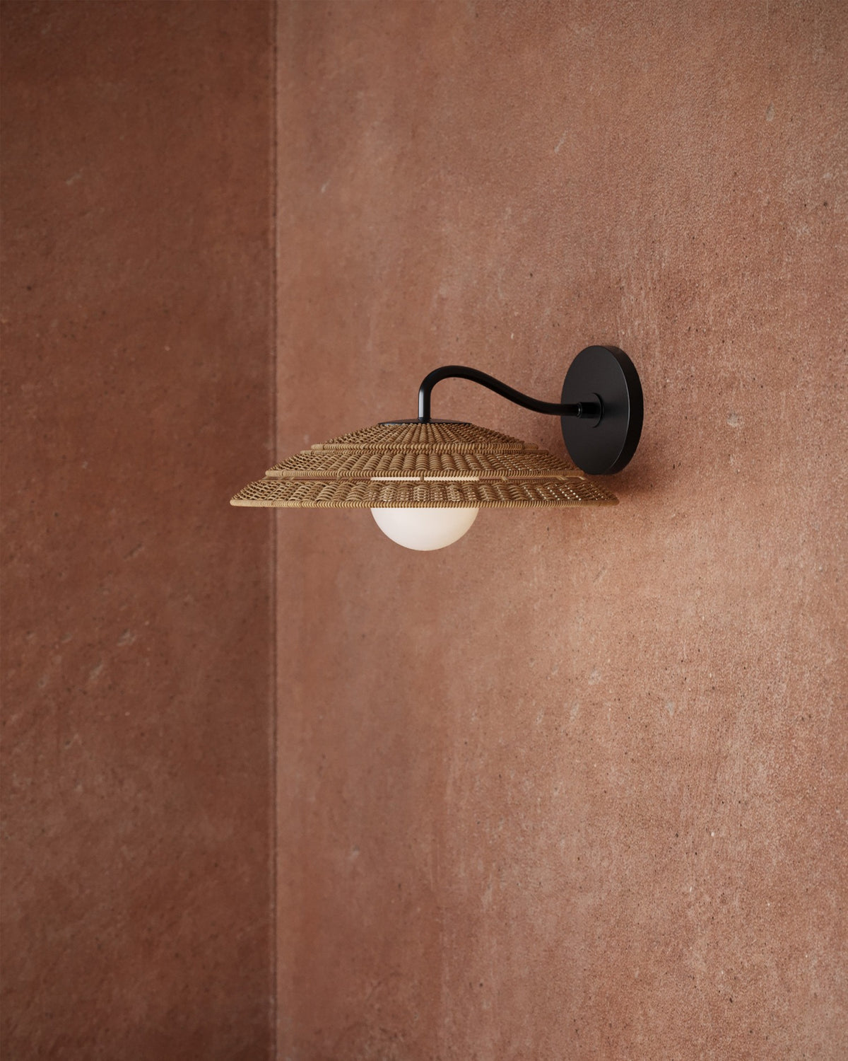 Currey and Company - 5500-0059 - One Light Wall Sconce - Barbary - Natural/Black/Frosted White