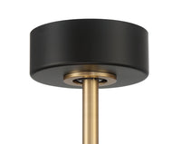 Craftmade - TYL24FBSB3 - 20" Ceiling Fan - Taylor - Flat Black/Satin Brass