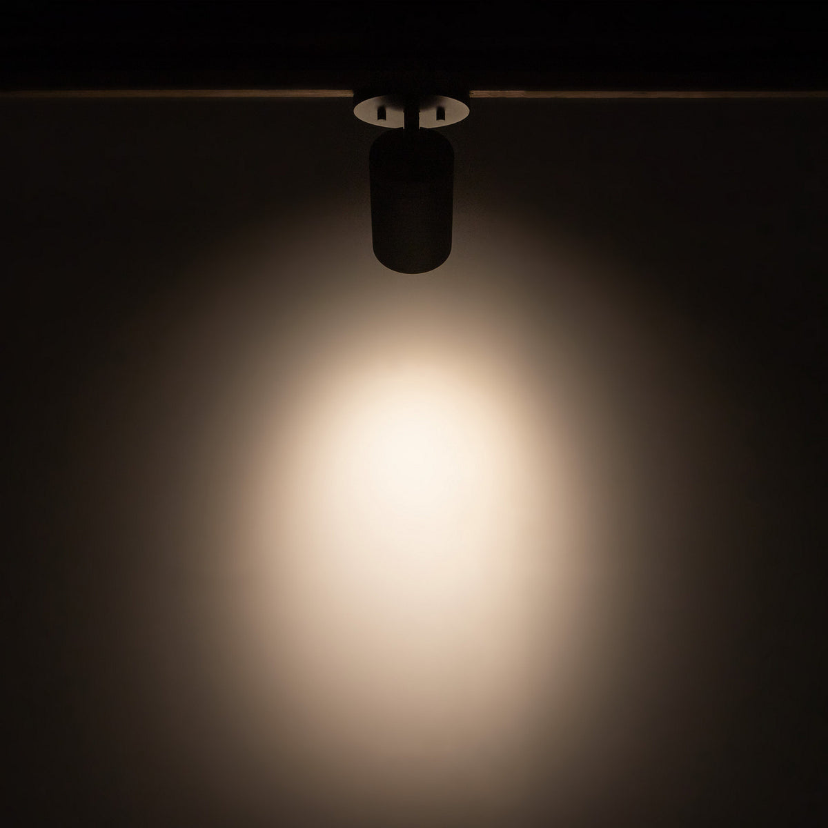 Kuzco Lighting - LD3-SA04W10-3036-BK-UNV-010 - LED Ceiling Mount - Lorna - Black