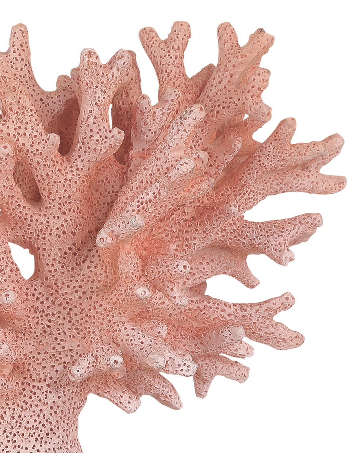 Currey and Company - 1200-1082 - Coral Set of 2 - Coral - Coral/Clear