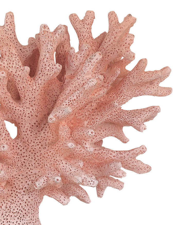 Currey and Company - 1200-1082 - Coral Set of 2 - Coral - Coral/Clear