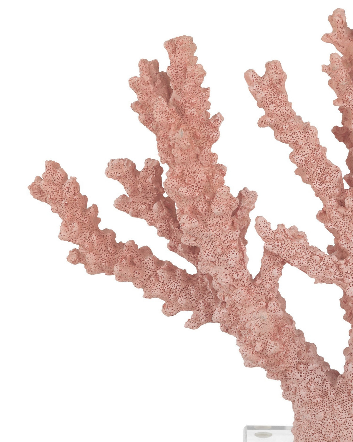 Currey and Company - 1200-1083 - Coral - Coral - Coral/Clear