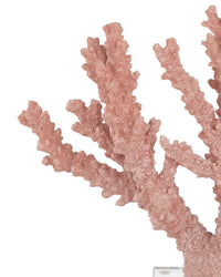 Currey and Company - 1200-1083 - Coral - Coral - Coral/Clear