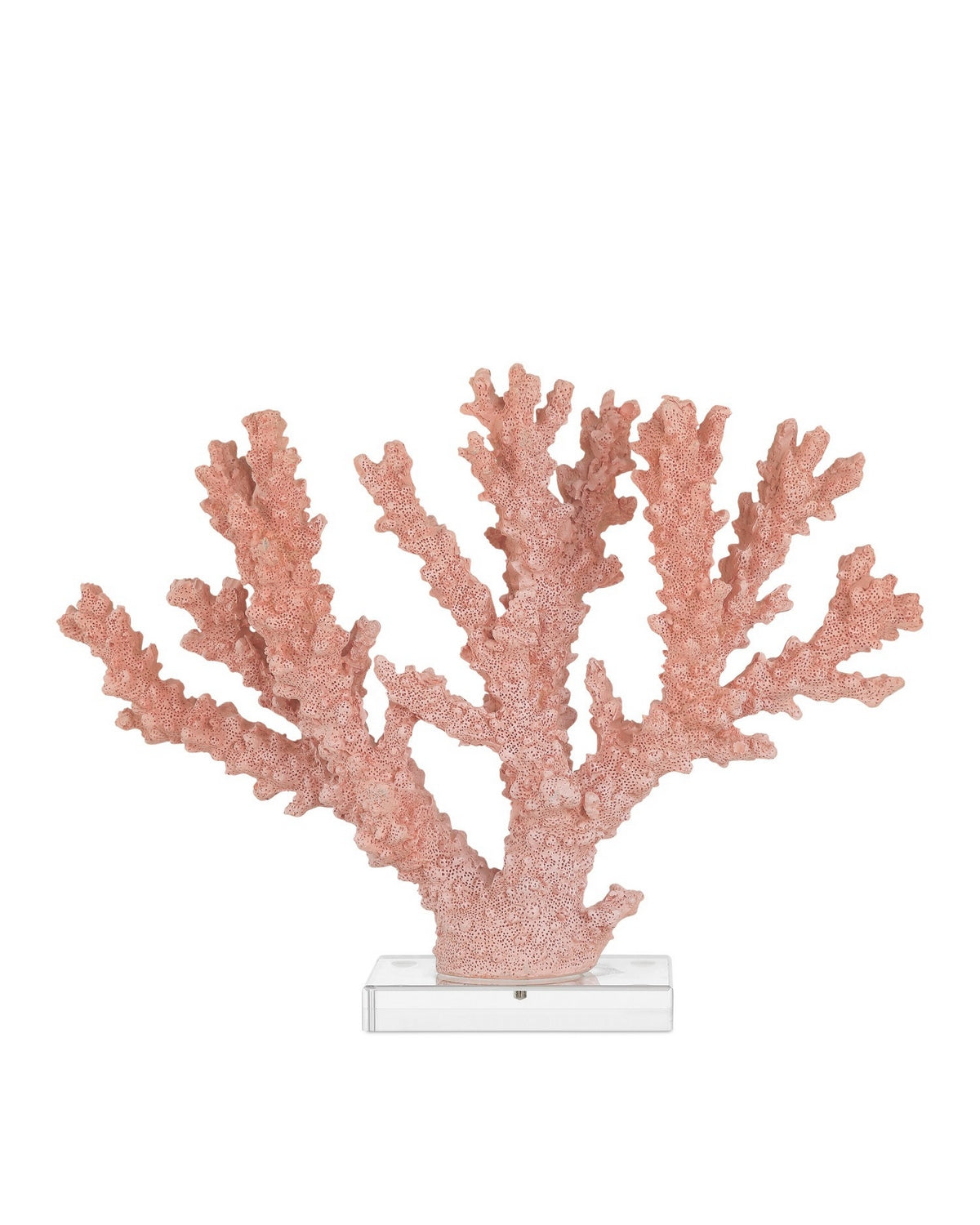 Currey and Company - 1200-1083 - Coral - Coral - Coral/Clear