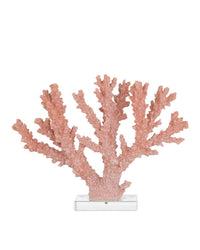 Currey and Company - 1200-1083 - Coral - Coral - Coral/Clear