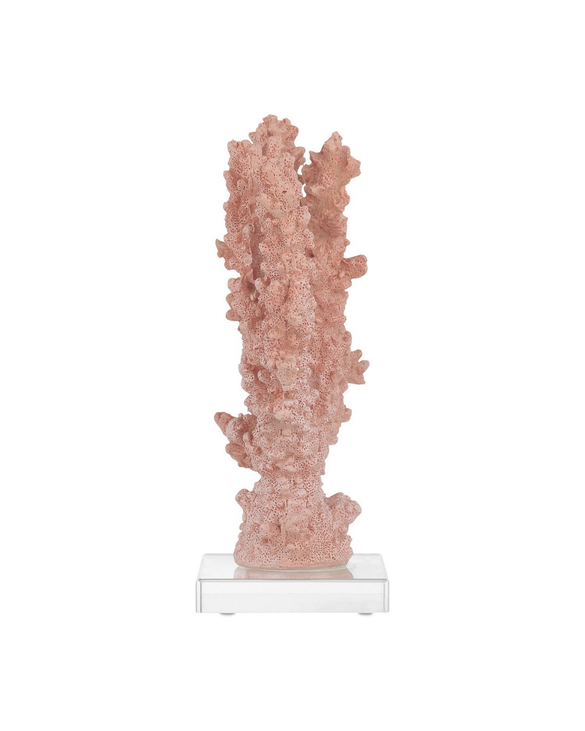 Currey and Company - 1200-1083 - Coral - Coral - Coral/Clear