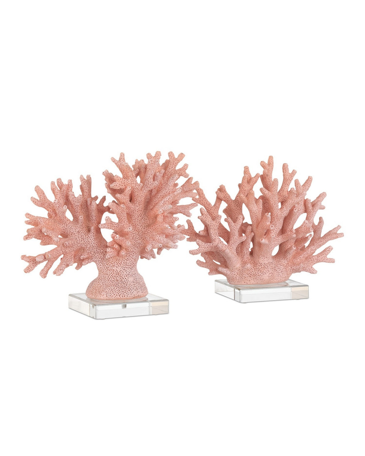 Currey and Company - 1200-1083 - Coral - Coral - Coral/Clear