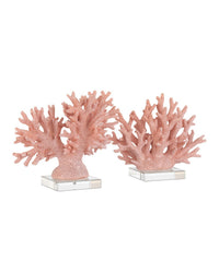 Currey and Company - 1200-1083 - Coral - Coral - Coral/Clear