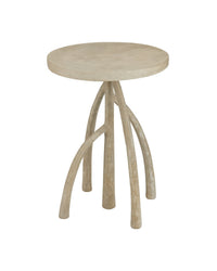 Currey and Company - 2000-0051 - Accent Table - Mangal - Portland
