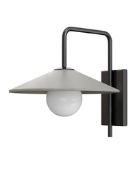 Currey and Company - 5500-0058 - One Light Wall Sconce - Bothy - Natural/Black/Frosted White