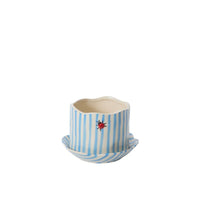 Design Shop Ladybug Pot with Saucer 6.5"x 4.5", Set of 2