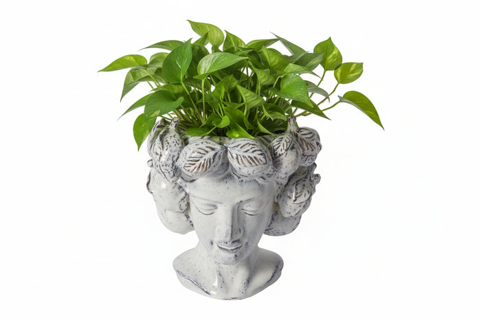 Design Shop Lady Lemon Vase 9.25" X 8" X 9".