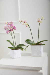 Design Shop Linen Cube 6.75"x 6.25"