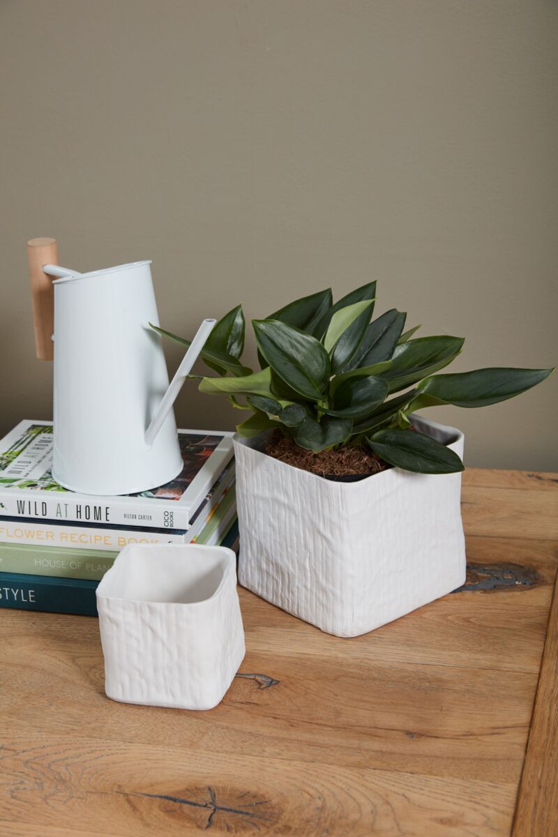 Design Shop Linen Cube 5.5"x 5.5", Set of 4