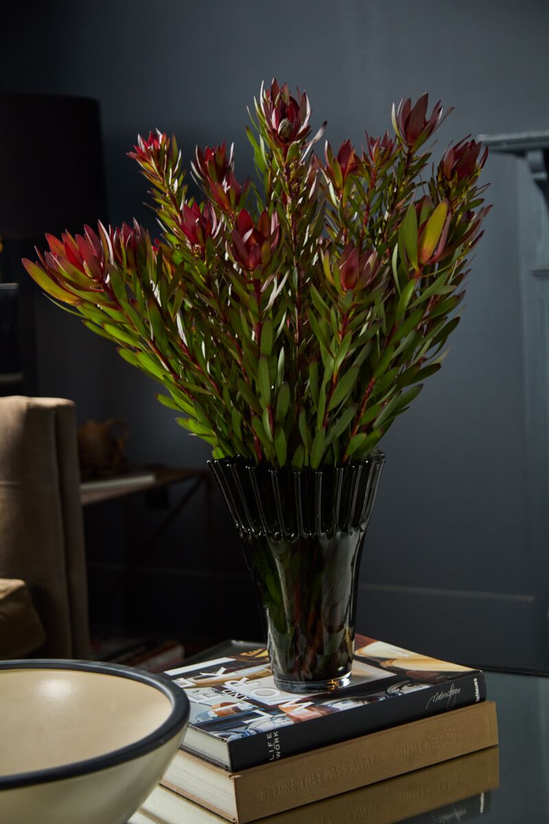 Design Shop Lolanthe Vase 8.75"x 9"x 10.75"