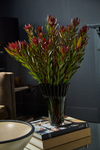 Design Shop Lolanthe Vase 8.75"x 9"x 10.75"
