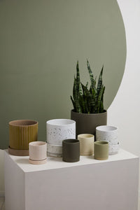 Design Shop Los Feliz Pot with Saucer 5"x 5.5"