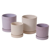 Design Shop Los Feliz Pot with Saucer 5"x 5.5"