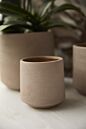 Design Shop Luciana Pot 6.75"x 6.75"