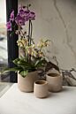 Design Shop Luciana Pot 6.75"x 6.75"