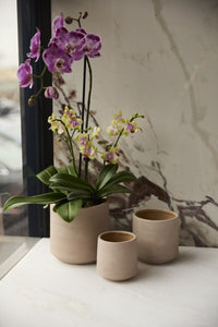 Design Shop Luciana Pot 5.25"x 5", Set of 2