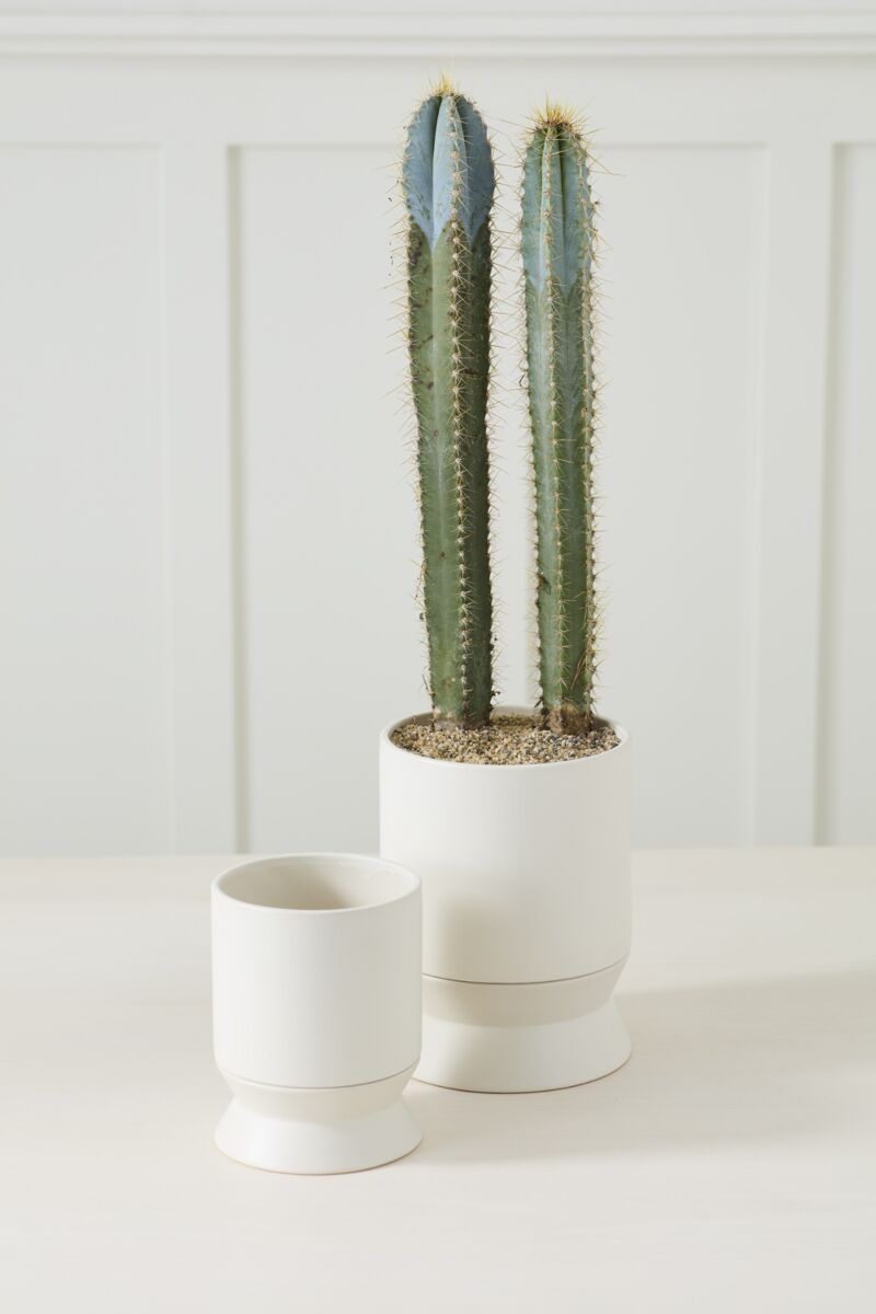 Design Shop Madison Pot with Saucer 6.75"x 8.75"
